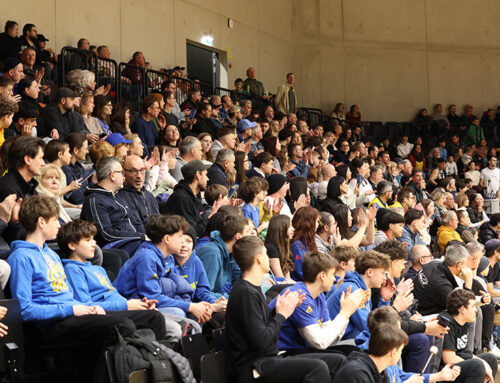 Starke Bulls gewinnen Steirer-Derby